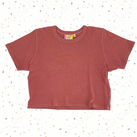 Big Bud Press Honeycomb Crop Tee Mauve Short Sleeve XS - Picture 6 of 13